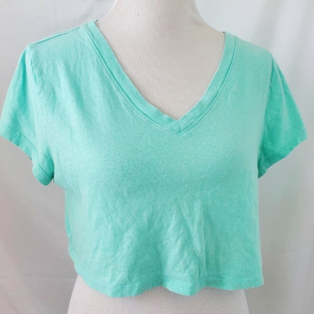 Retro style aqua v neck Wild Fable crop top